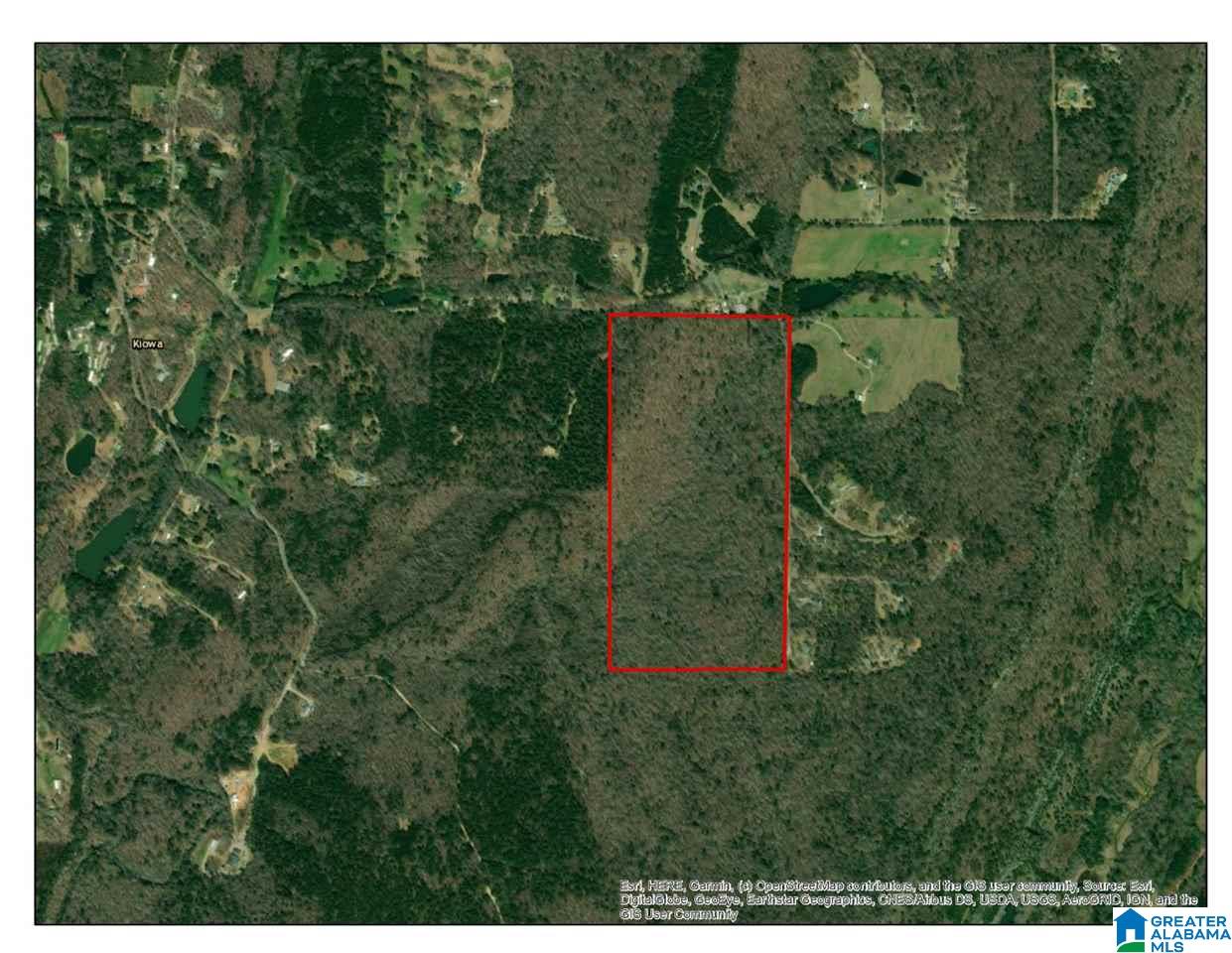 0 Powell Road Remlap, AL 35133 - Photo 1 of 19