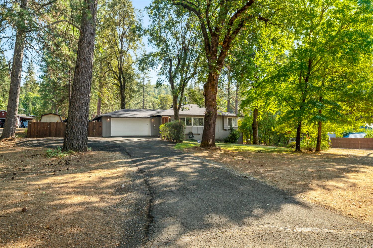 a view of a yard with a house and large tree