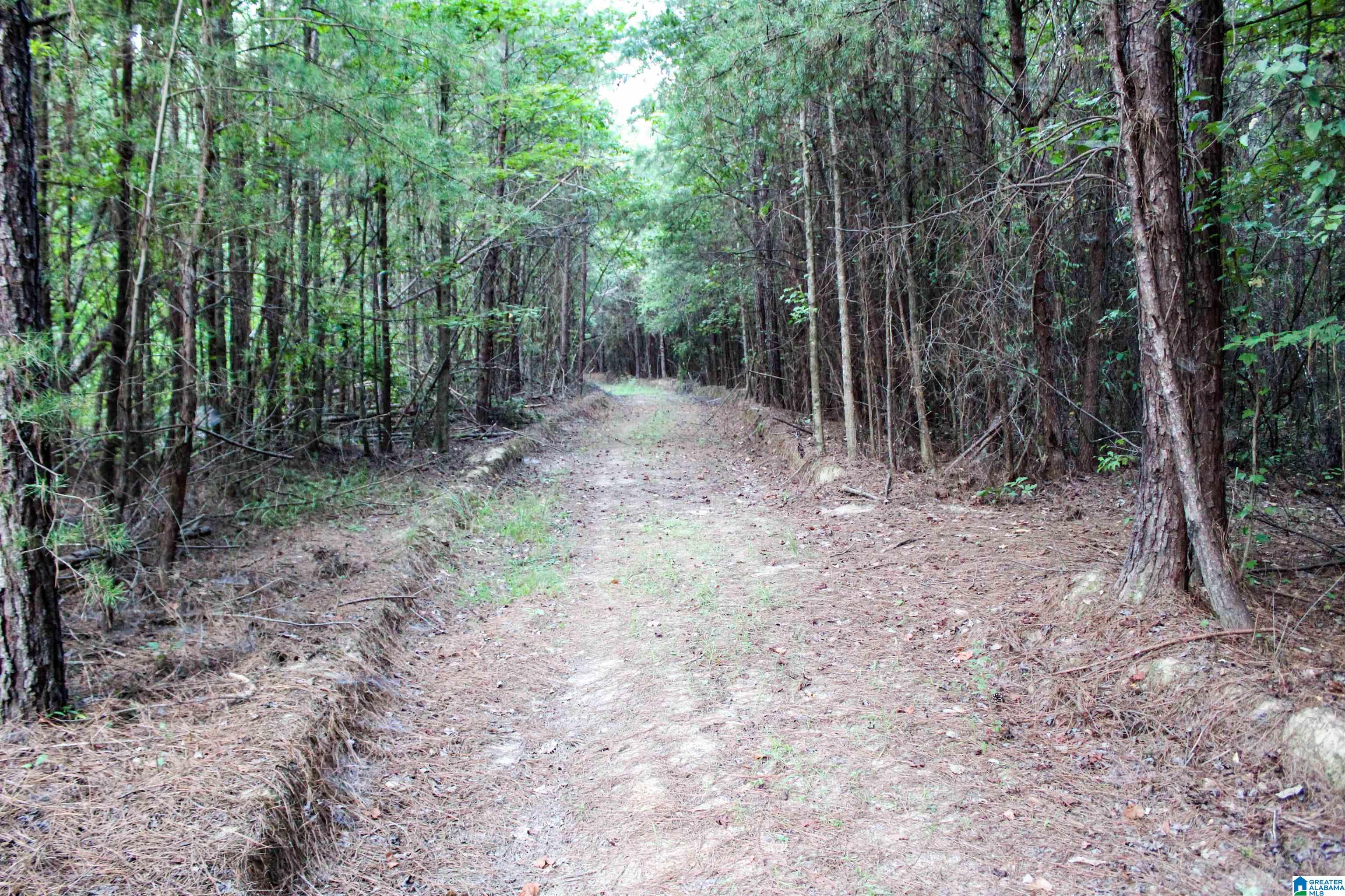 Bonner Drive, Unit 1 Berry, AL 35546 - Photo 37 of 56
