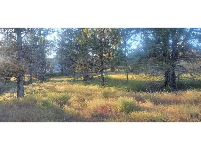 a view of swimming pool with a yard and lake view