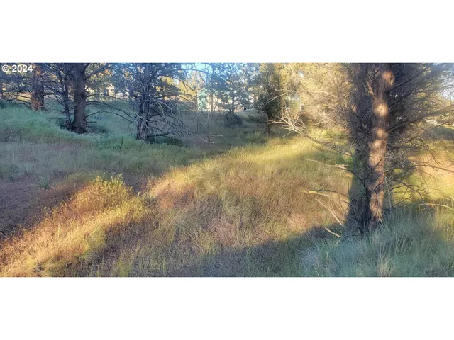 a view of lake with green field