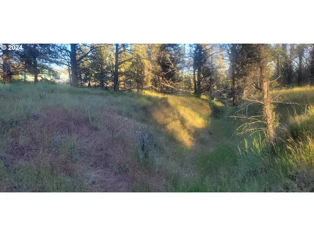 a view of a yard with green space