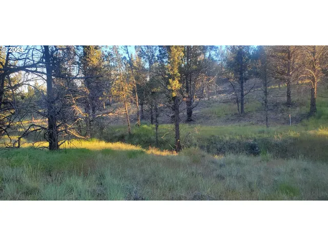 a view of a big yard