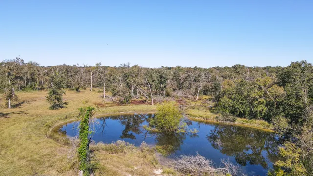 a view of a small yard