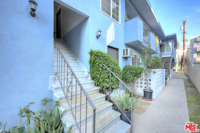 a view of a flower in a garden