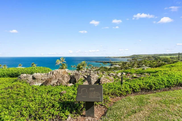 a view of a bunch of plants and covered with trees in the background