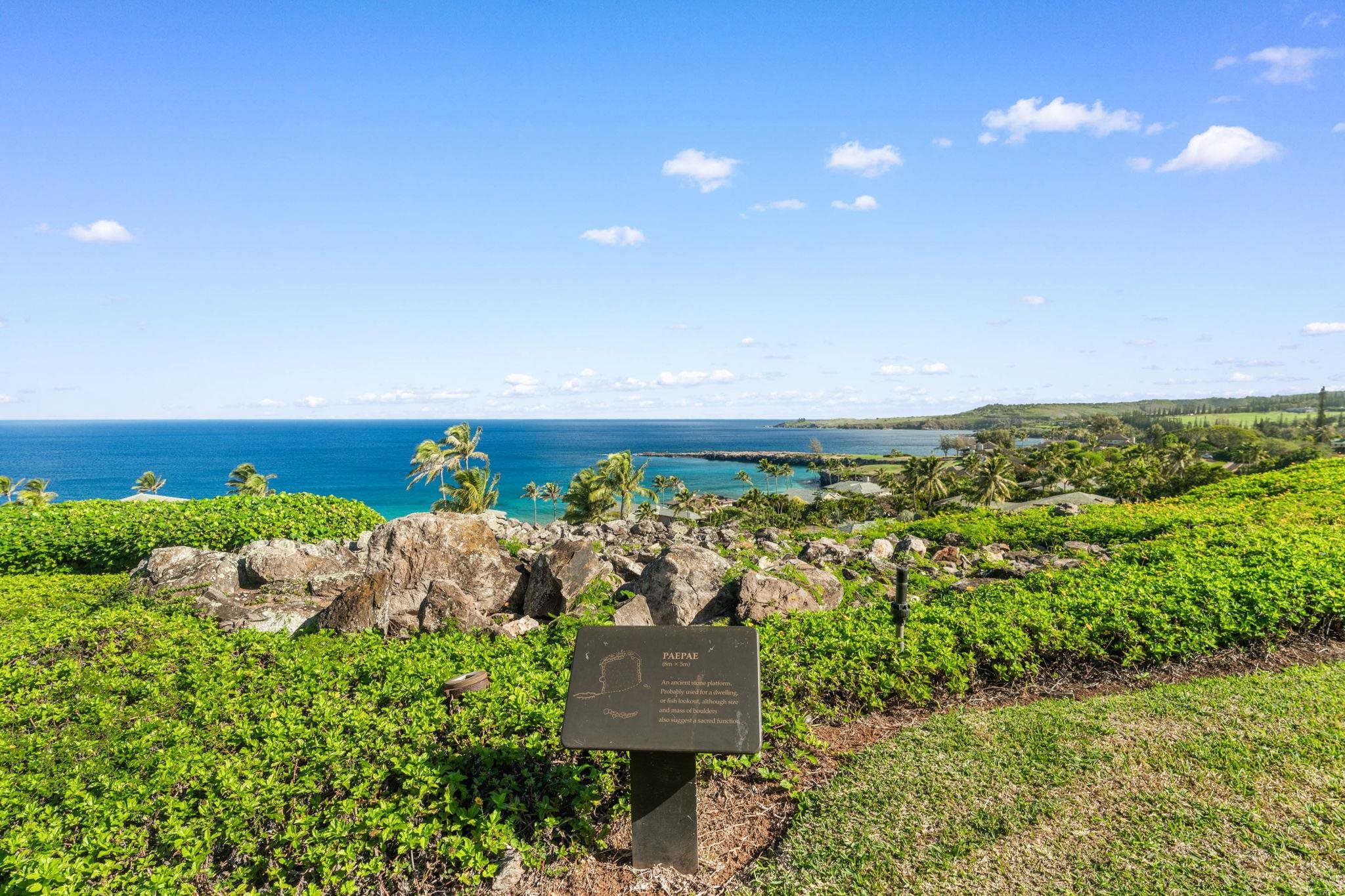 100 Ridge Road, Unit 1614 Lahaina, HI 96761 - Photo 27 of 50 a view of a bunch of plants and covered with trees in the background