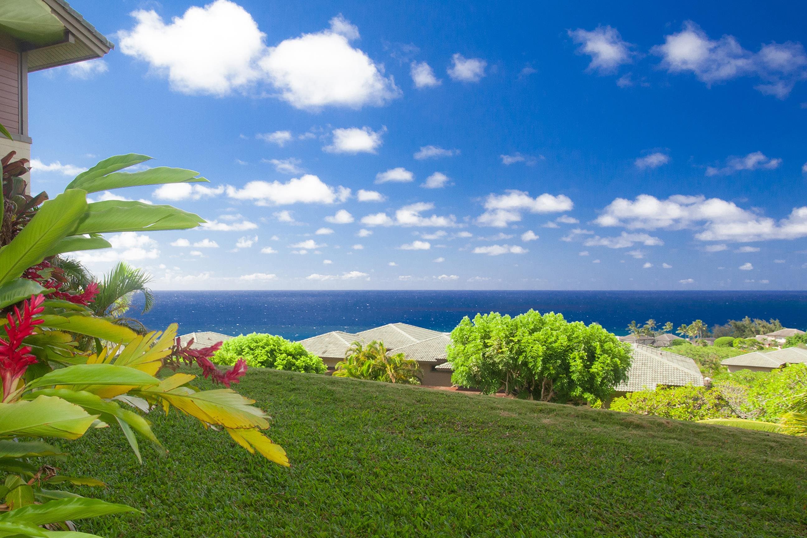 100 Ridge Road, Unit 1614 Lahaina, HI 96761 - Photo 3 of 50