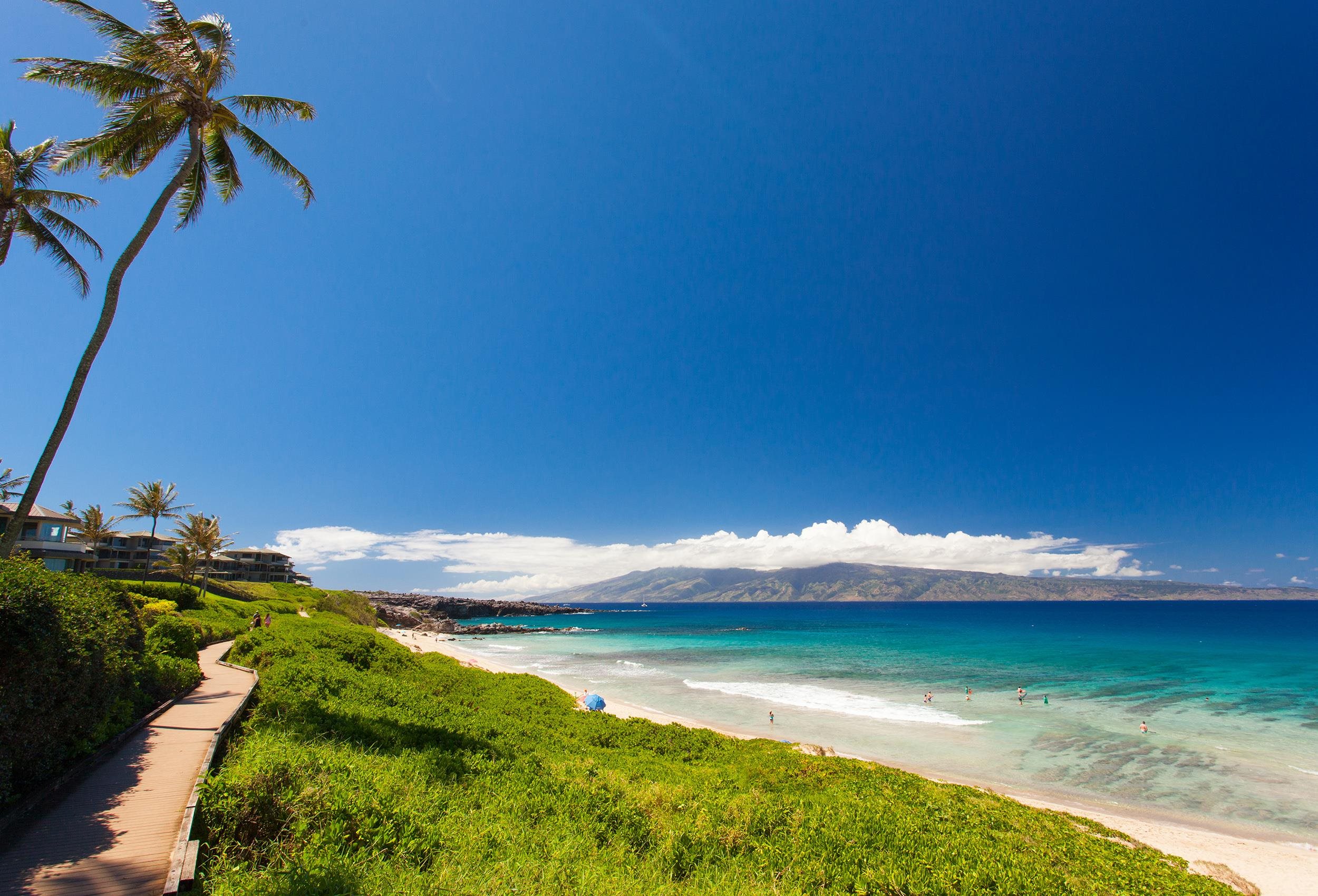 100 Ridge Road, Unit 1614 Lahaina, HI 96761 - Photo 39 of 50 a view of an ocean from a ceiling fan