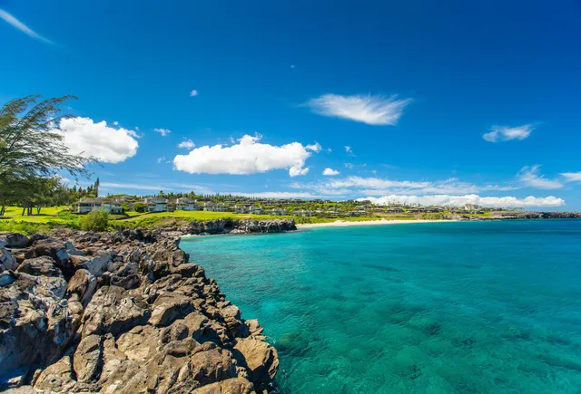 a view of beach and ocean view
