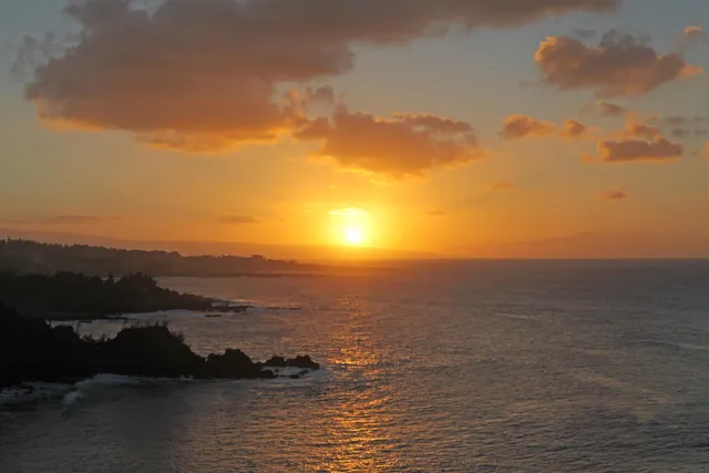 a close up of a potted plant sitting on a table