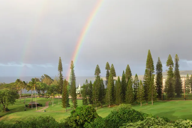 $1,295,000 | 100 Ridge Road, Unit 1614, Lahaina, HI 96761