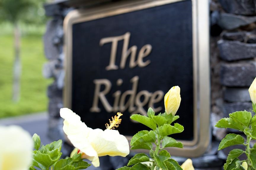 100 Ridge Road, Unit 1614 Lahaina, HI 96761 - Photo 49 of 50 a close up of a potted plant sitting on a table