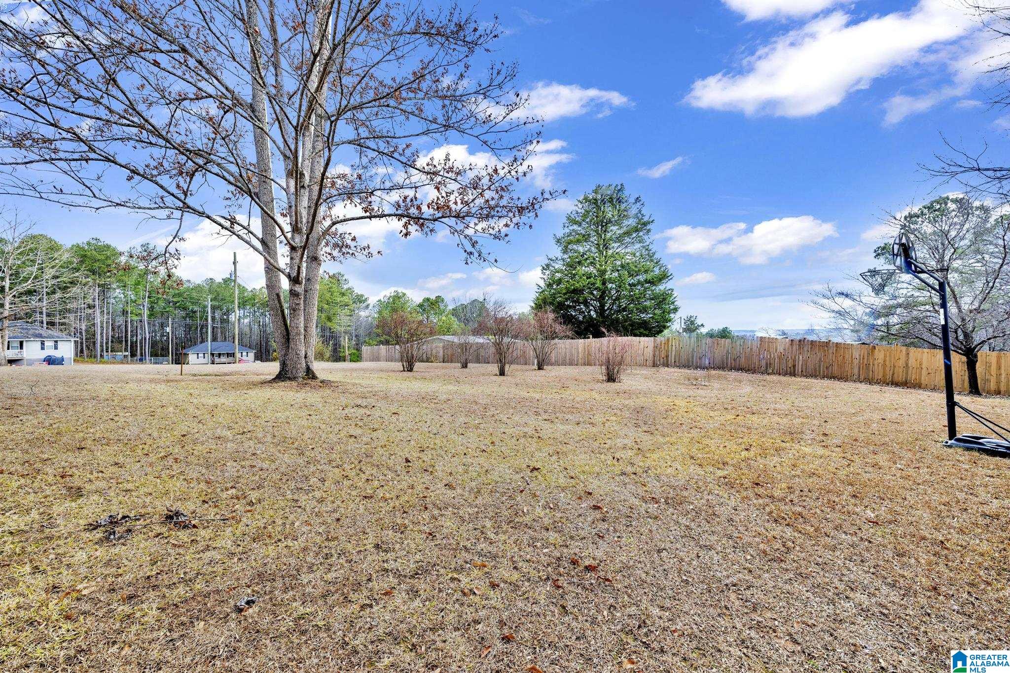 2940 Oscar Bradford Road Hayden, AL 35079 - Photo 9 of 33