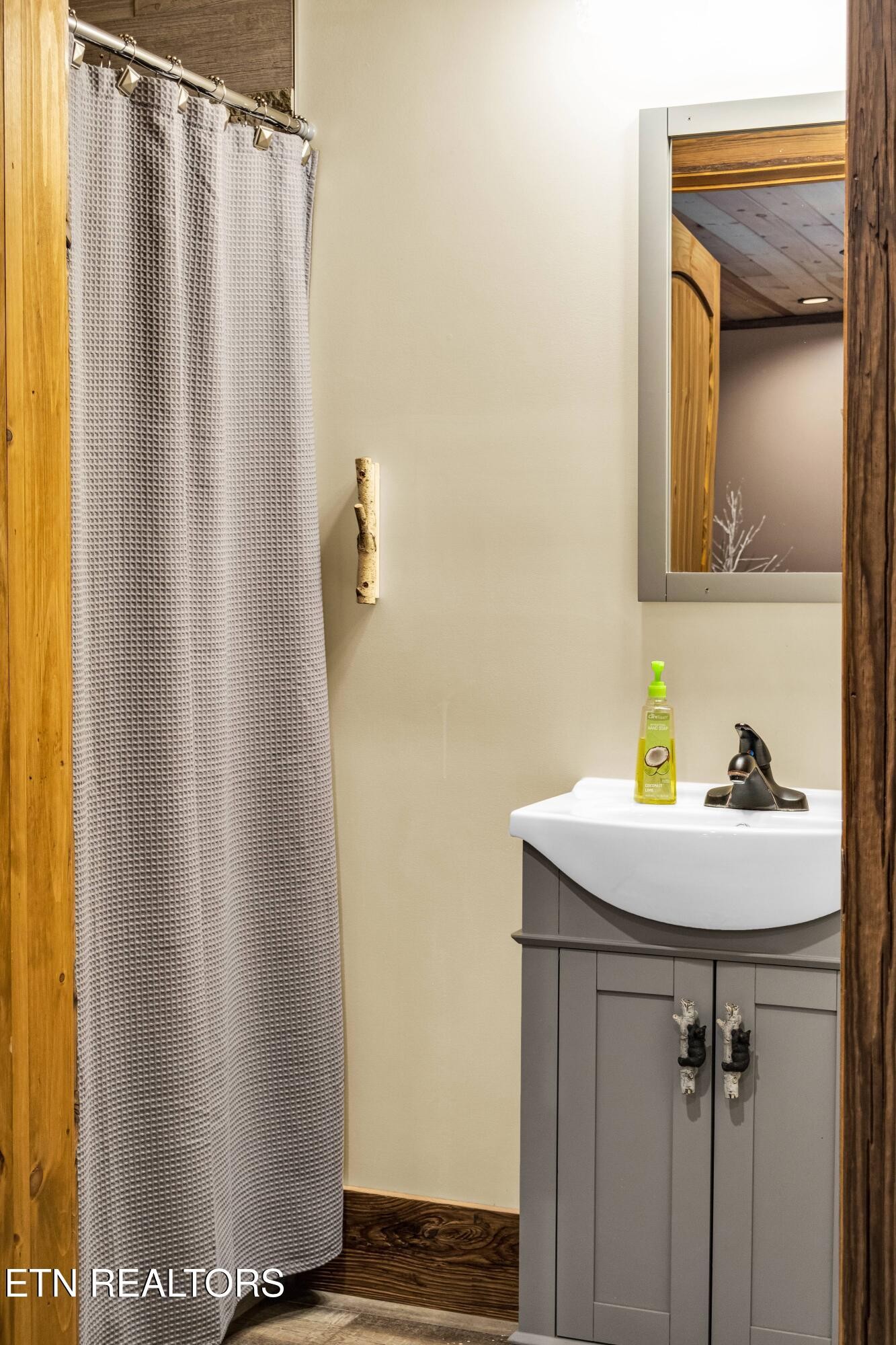 173 Rafter Road Tellico Plains, TN 37385 - Photo 28 of 49 a bathroom with a sink and a mirror