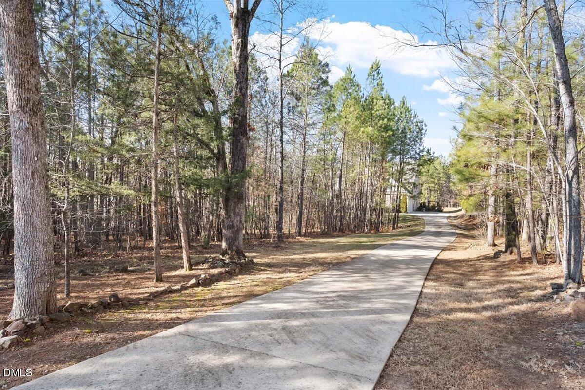 1321 Cedar Grove Road Pittsboro, NC 27312 - Photo 19 of 82 a view of street along with trees