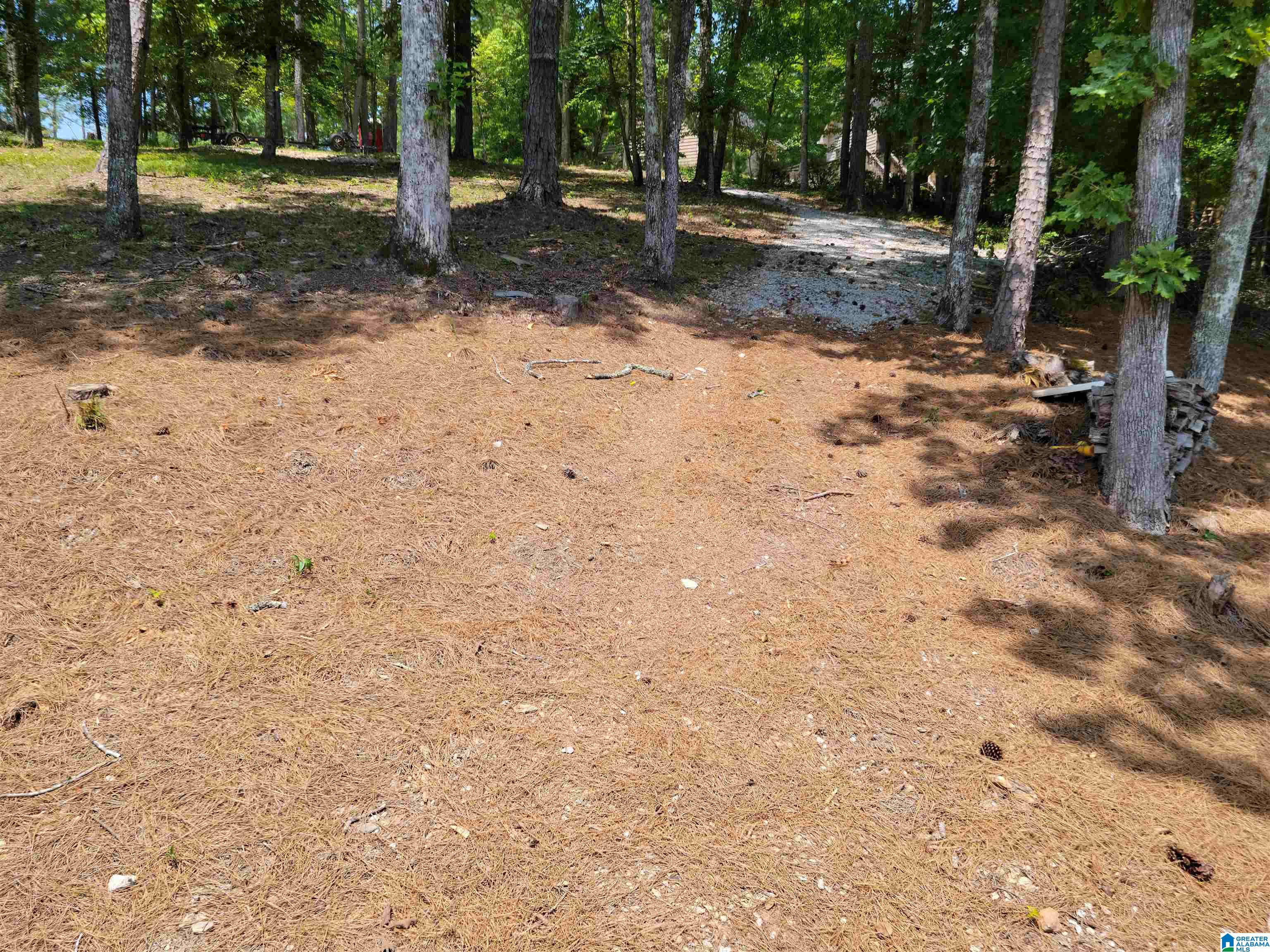 281 Red Cedar, Unit 121 Wedowee, AL 36278 - Photo 12 of 18