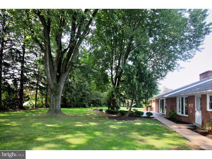123 Sharp Road Avondale, PA 19311 - Photo 2 of 24 a view of a backyard with table and chairs and a large tree