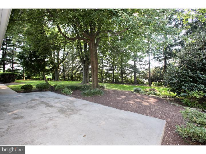 123 Sharp Road Avondale, PA 19311 - Photo 23 of 24 a view of a road with trees