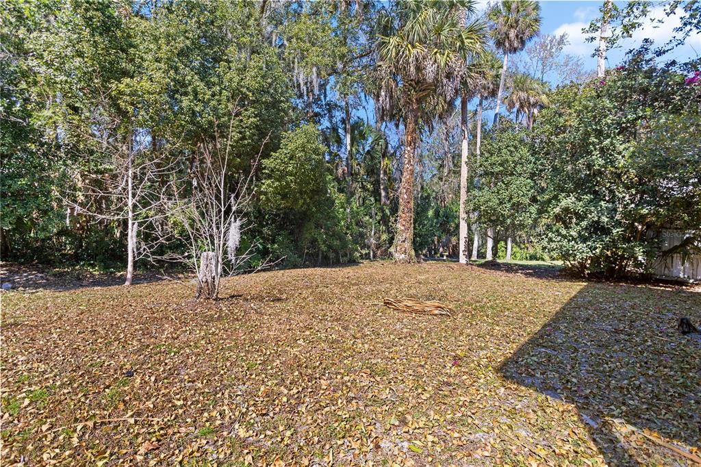 416 MacGregor Road Winter Springs, FL 32708 - Photo 35 of 38