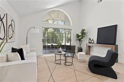 a living room with furniture a rug a potted plant and a large window