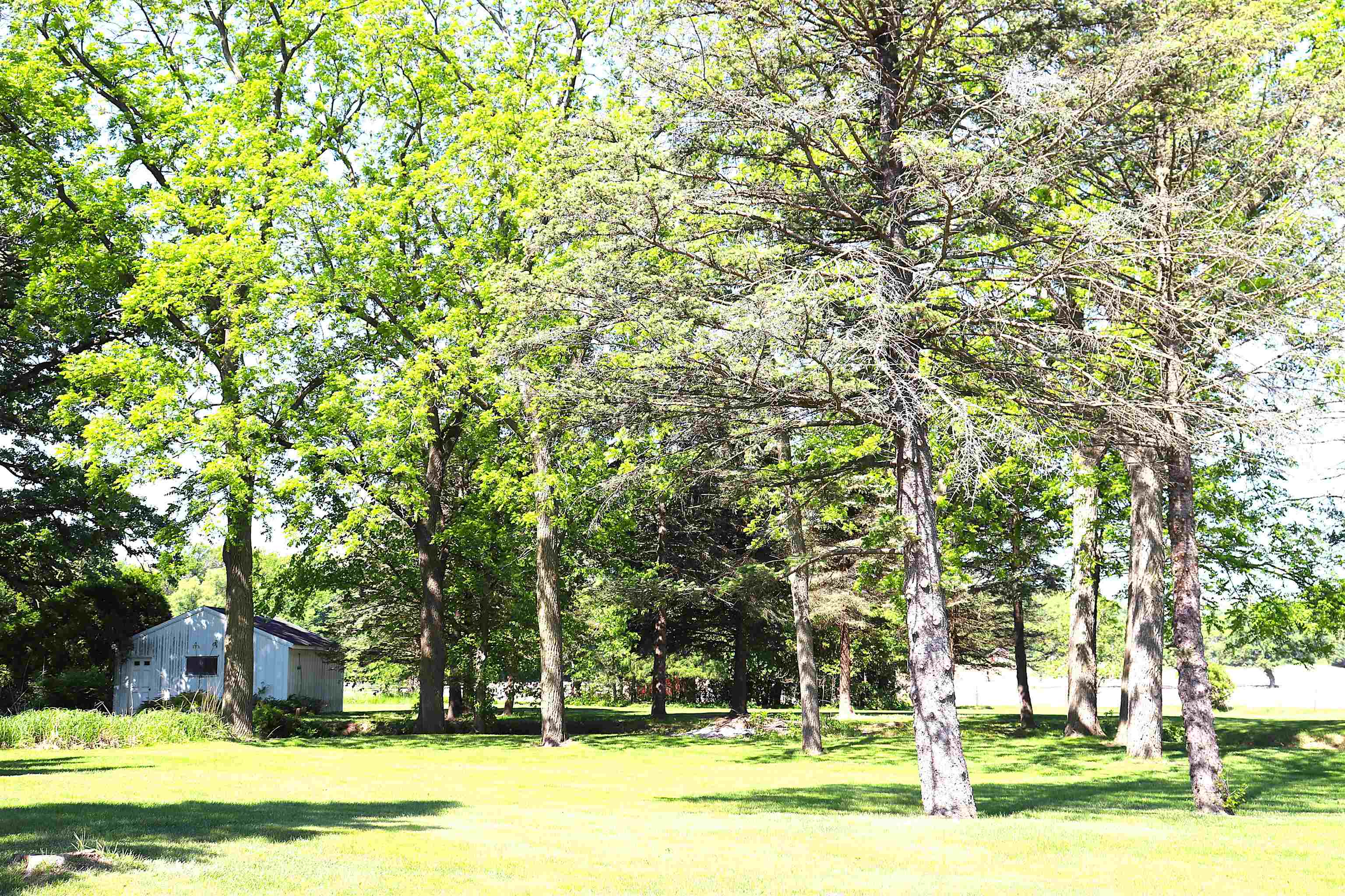 4338 South Schuman Road Orfordville, WI 53576 - Photo 56 of 63