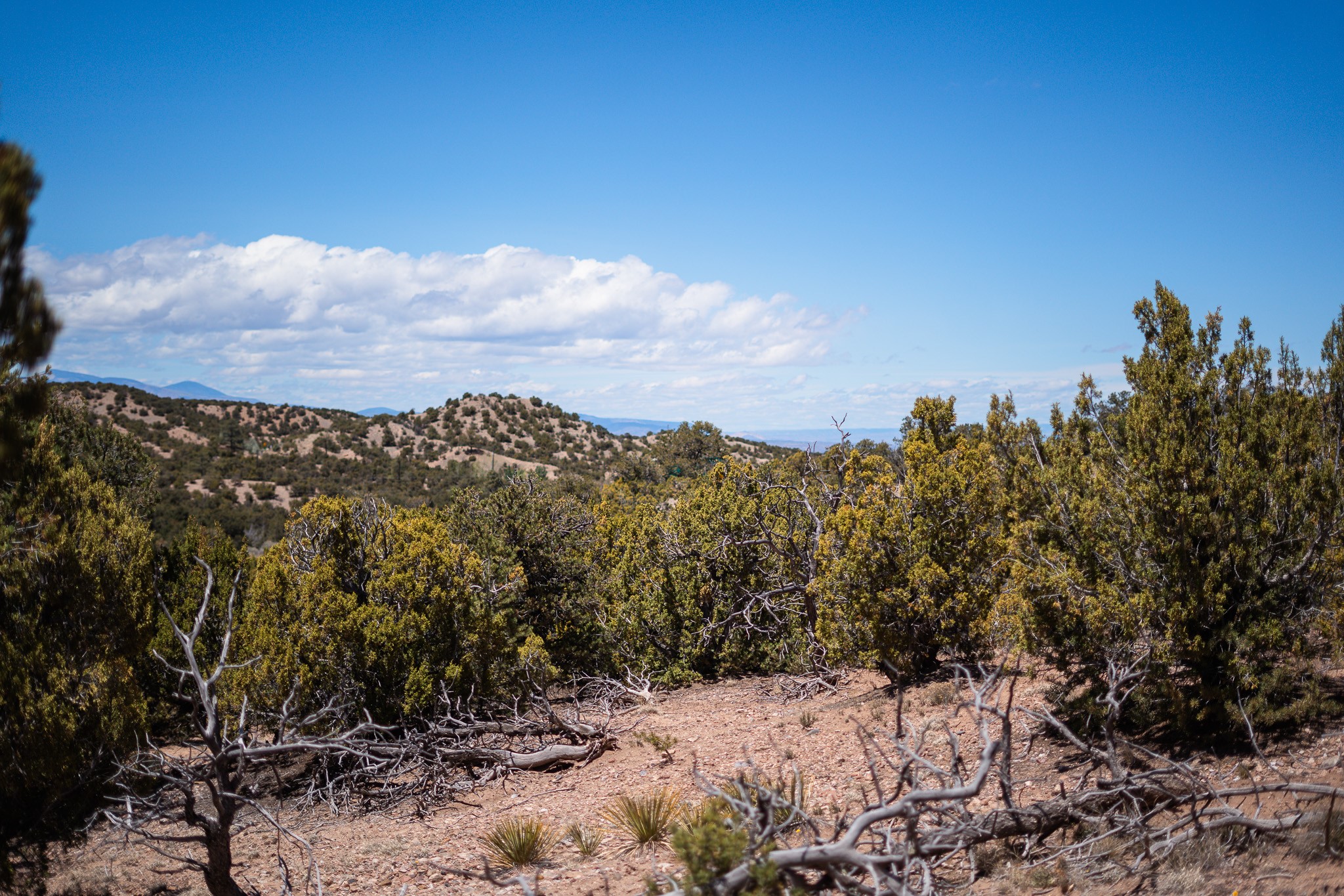 67-acres Red Ridge Santa Fe, NM 87501 - Photo 26 of 40 North Lot
