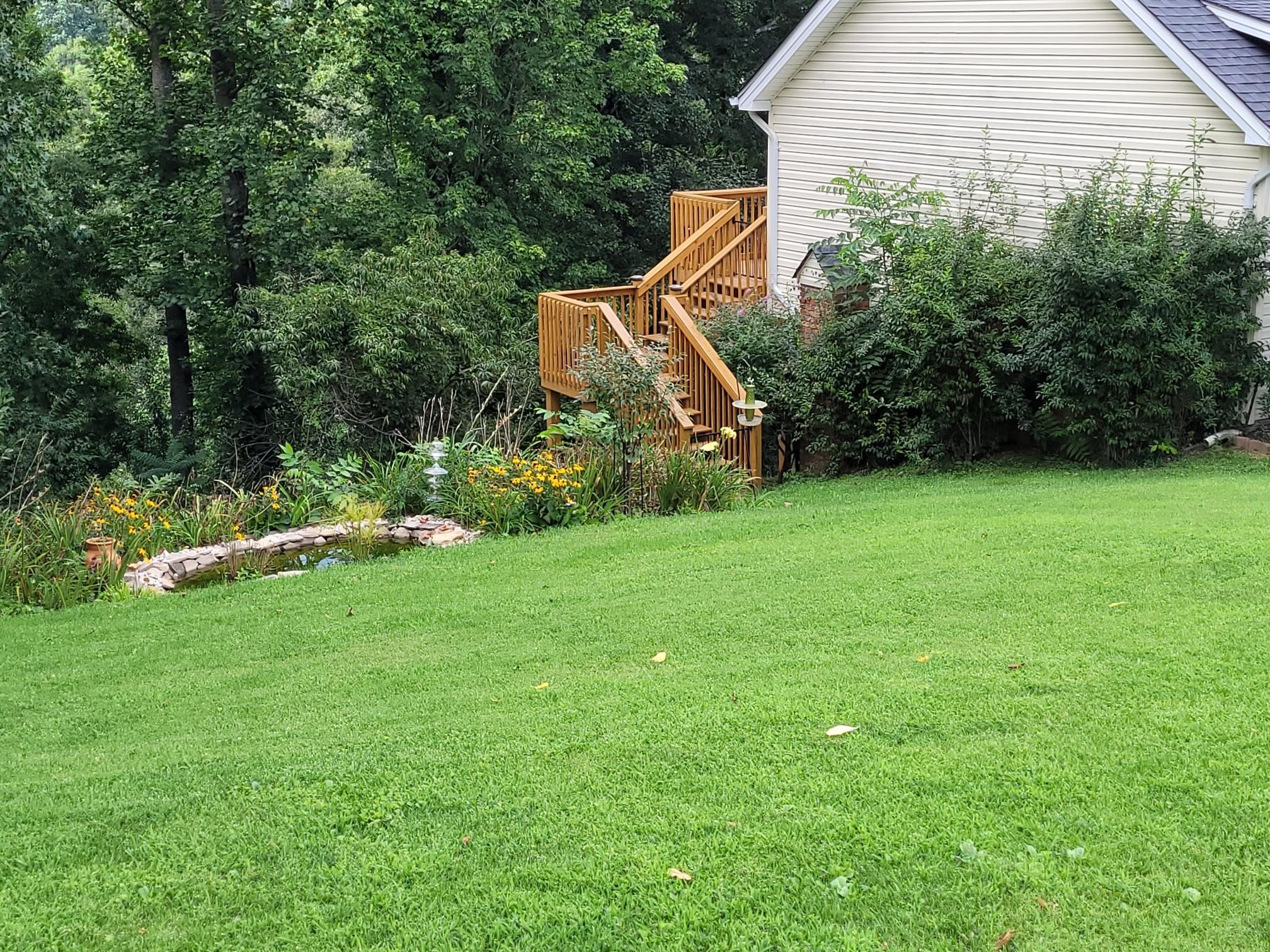 516 Merman Road Kingsport, TN 37663 - Photo 23 of 25 merman side with pond