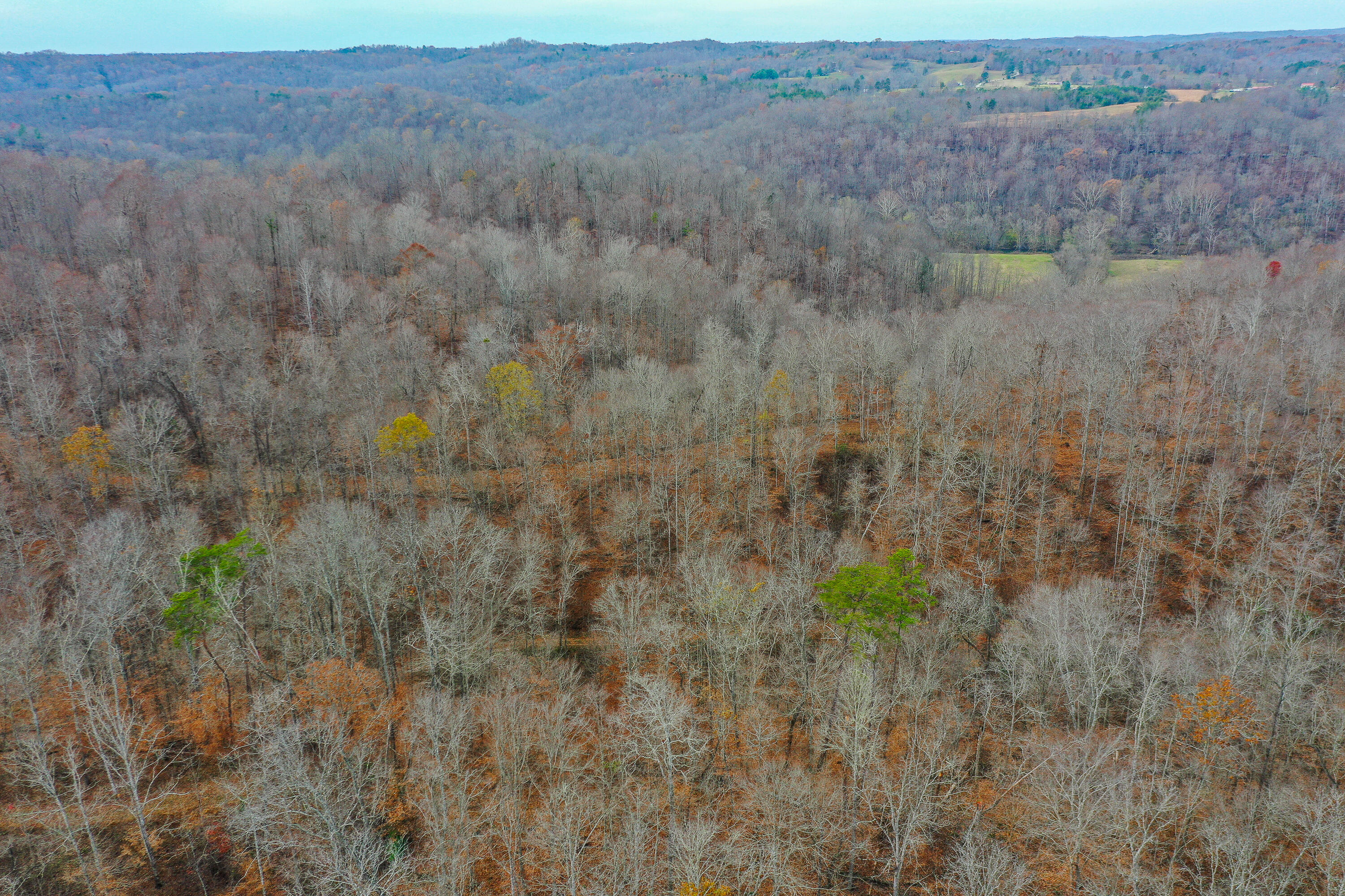 336 Big Branch Road Beattyville, KY 41311 - Photo 48 of 66 2-11