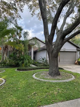 $2,800 | 2914 Shannon Circle, Palm Harbor, FL 34684