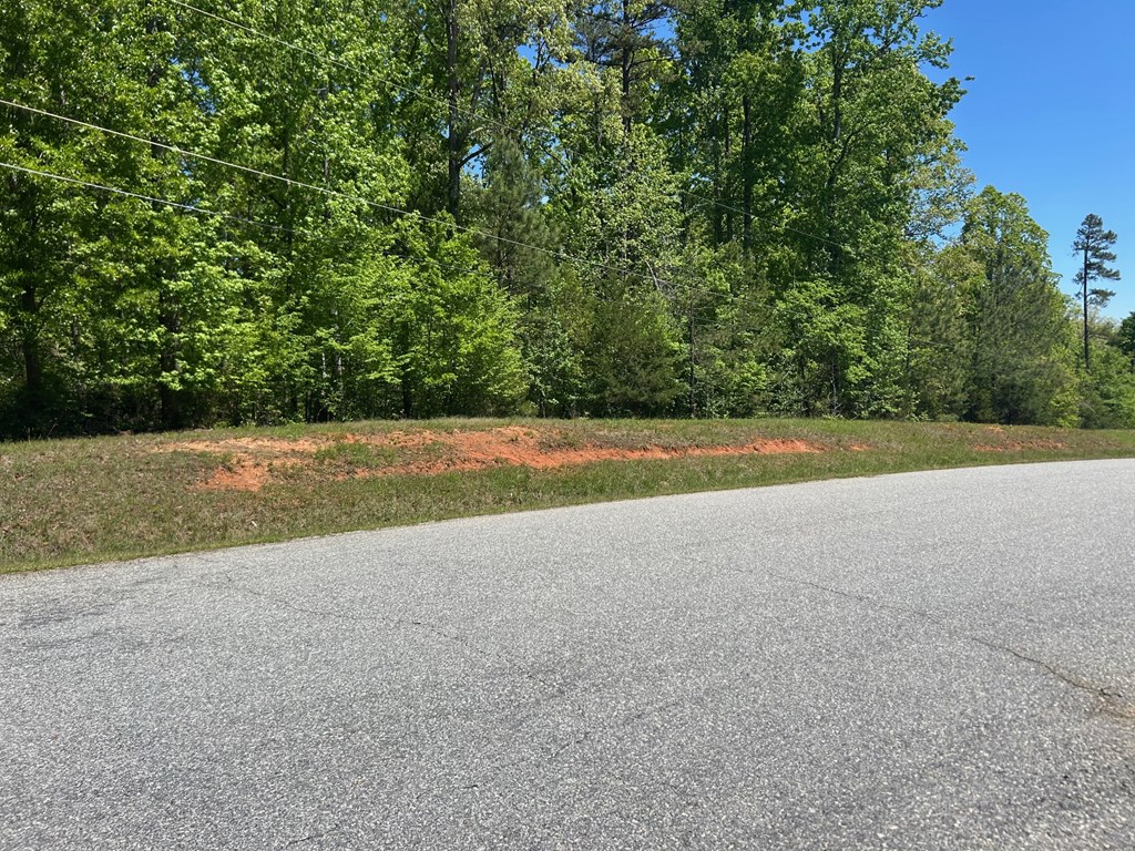 143 Terrapin Pointe Road Hodges, SC 29653 - Photo 6 of 7
