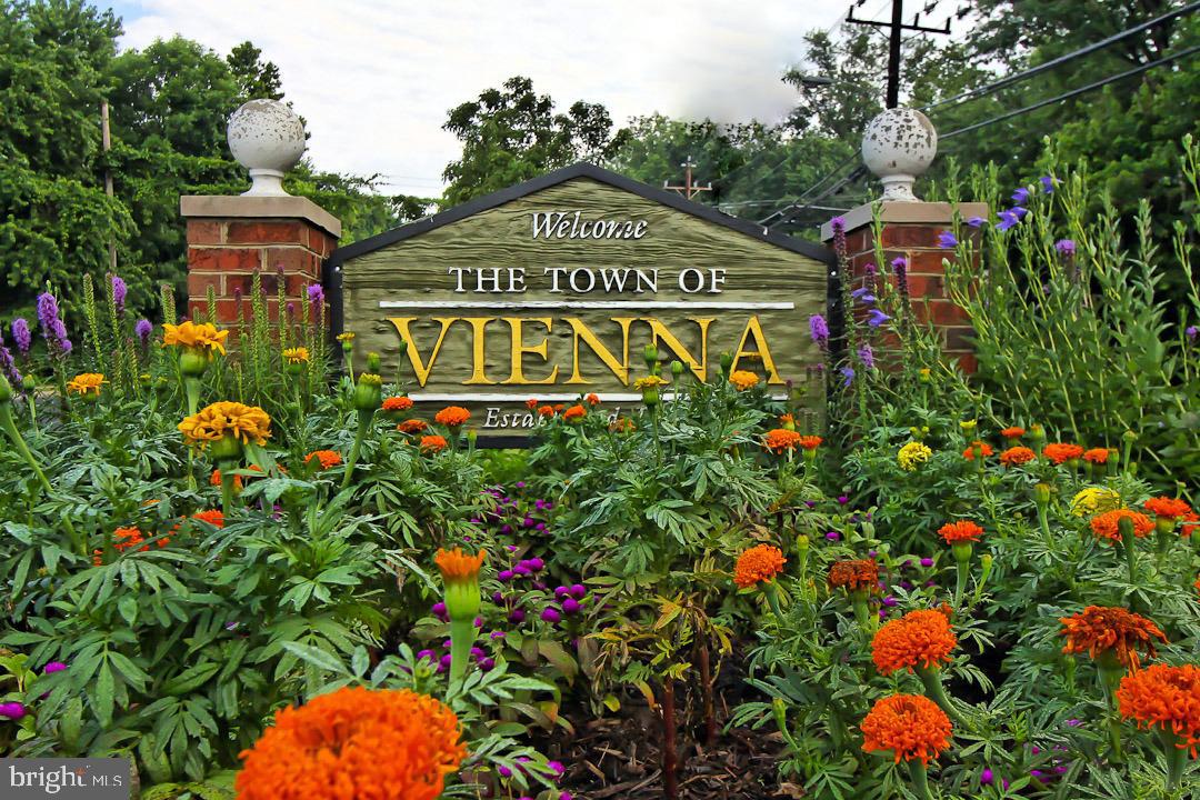 2838 Hill Road Vienna, VA 22181 - Photo 57 of 65