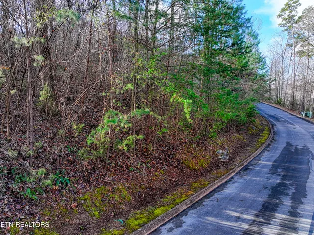 $40,000 | Lot 77 Shiloh Springs Road, Rutledge, TN 37861