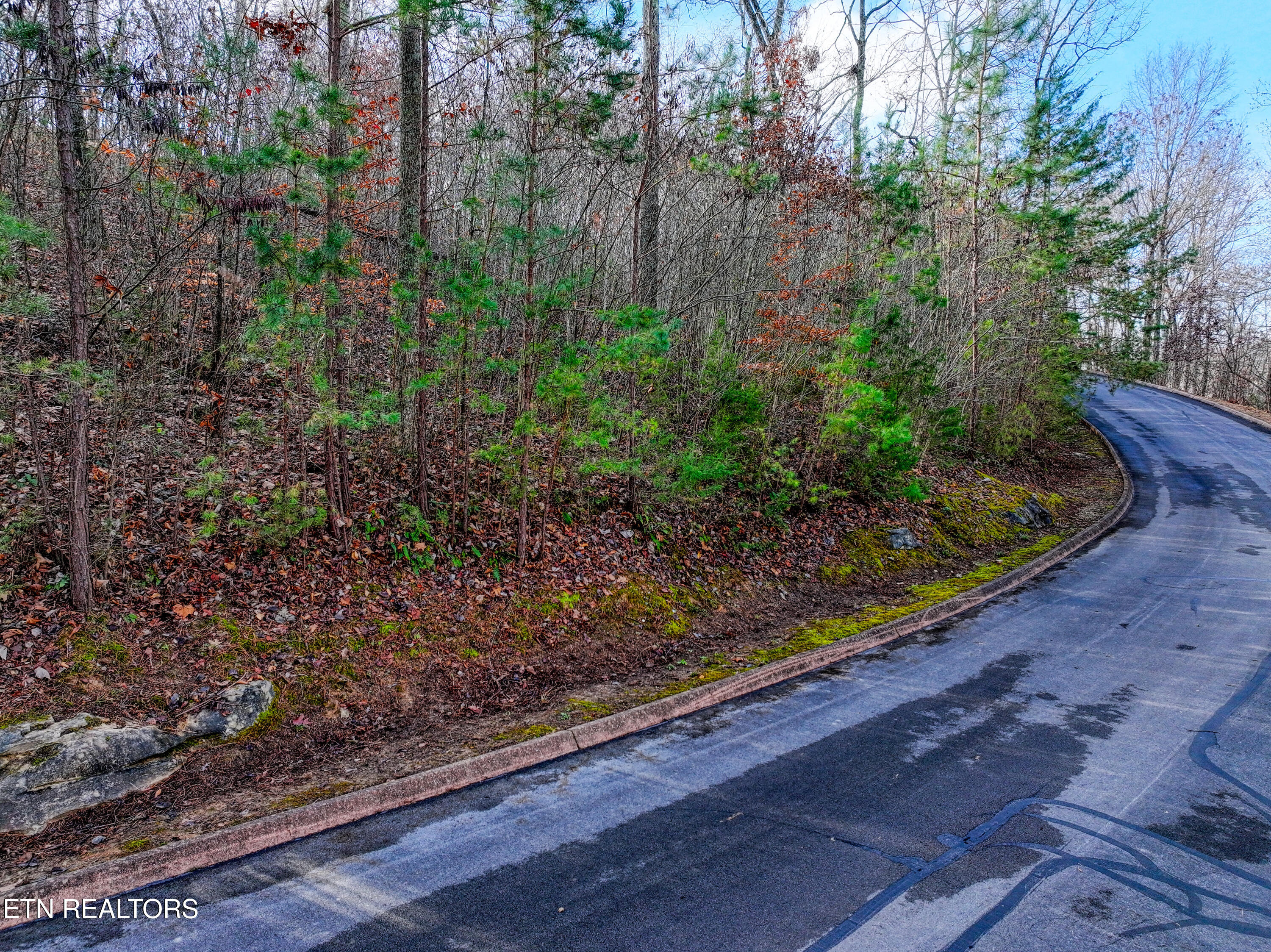 Lot 77 Shiloh Springs Road Rutledge, TN 37861 - Photo 7 of 15 DJI_20251209104913_0061_D_37
