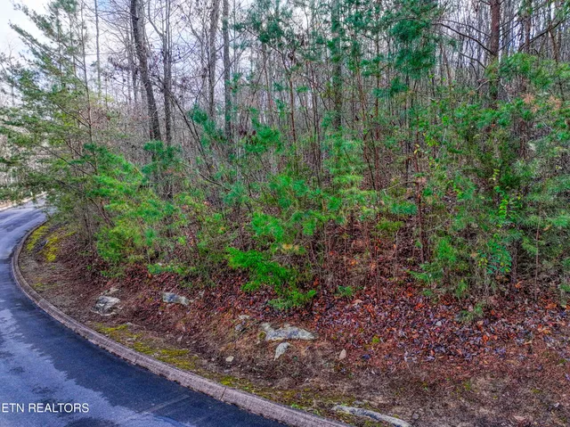 $40,000 | Lot 77 Shiloh Springs Road, Rutledge, TN 37861