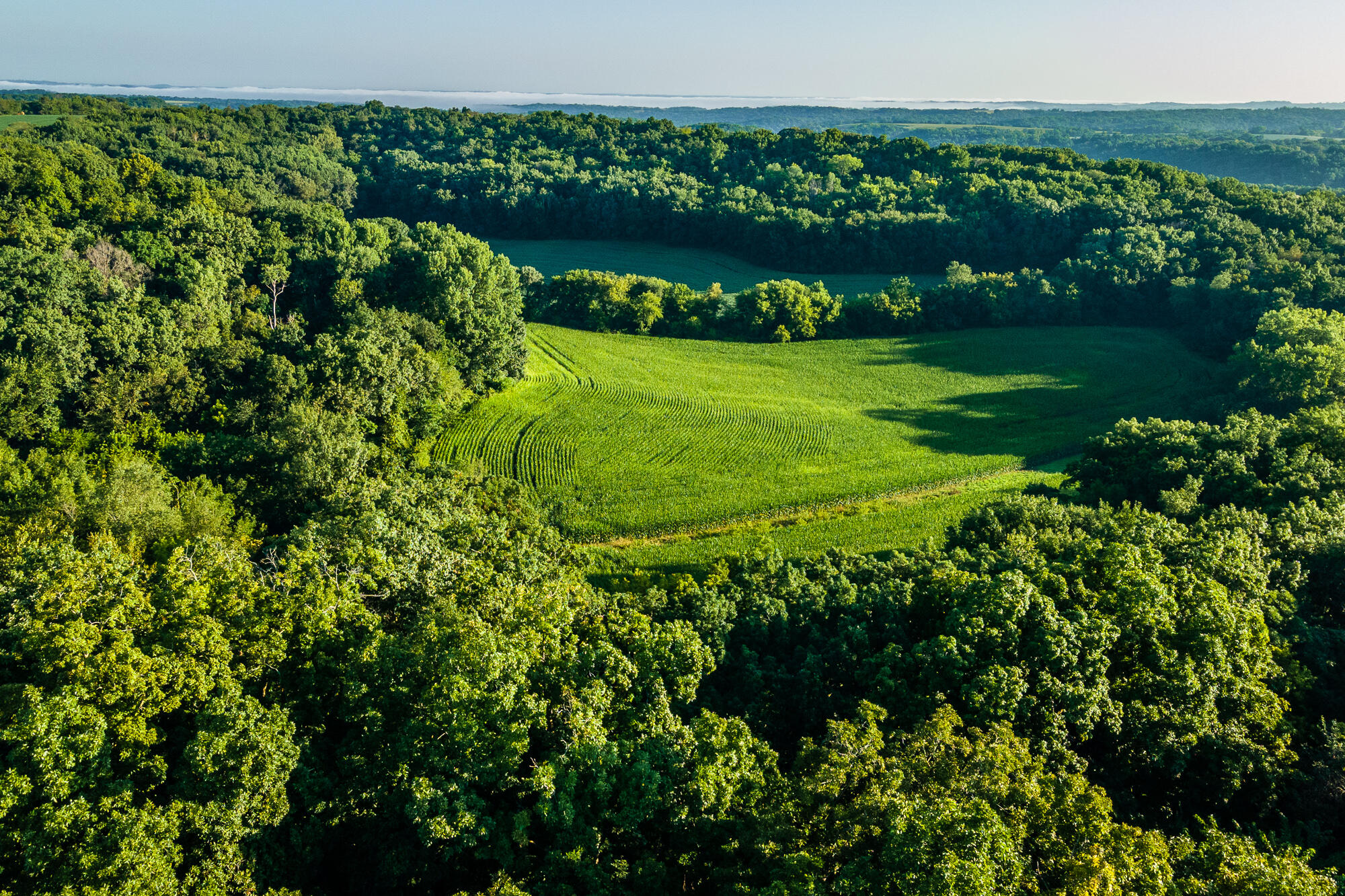 5292 Stenner Hill Road Marion, WI 53805 - Photo 3 of 69 Grant-County-WI-155-Acres-Land-For-Sale-