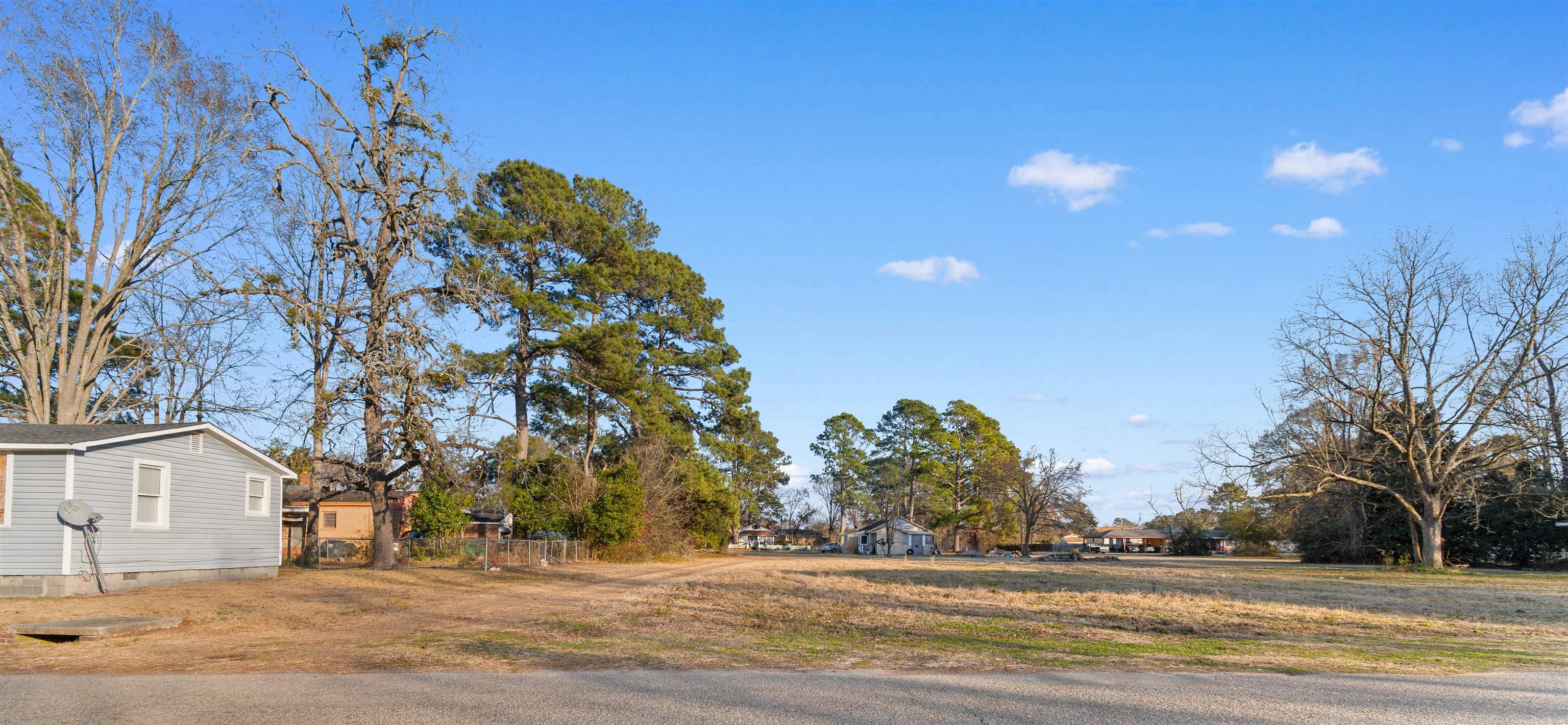 Tbd Phillips Street Marion, SC 29571 - Photo 8 of 11