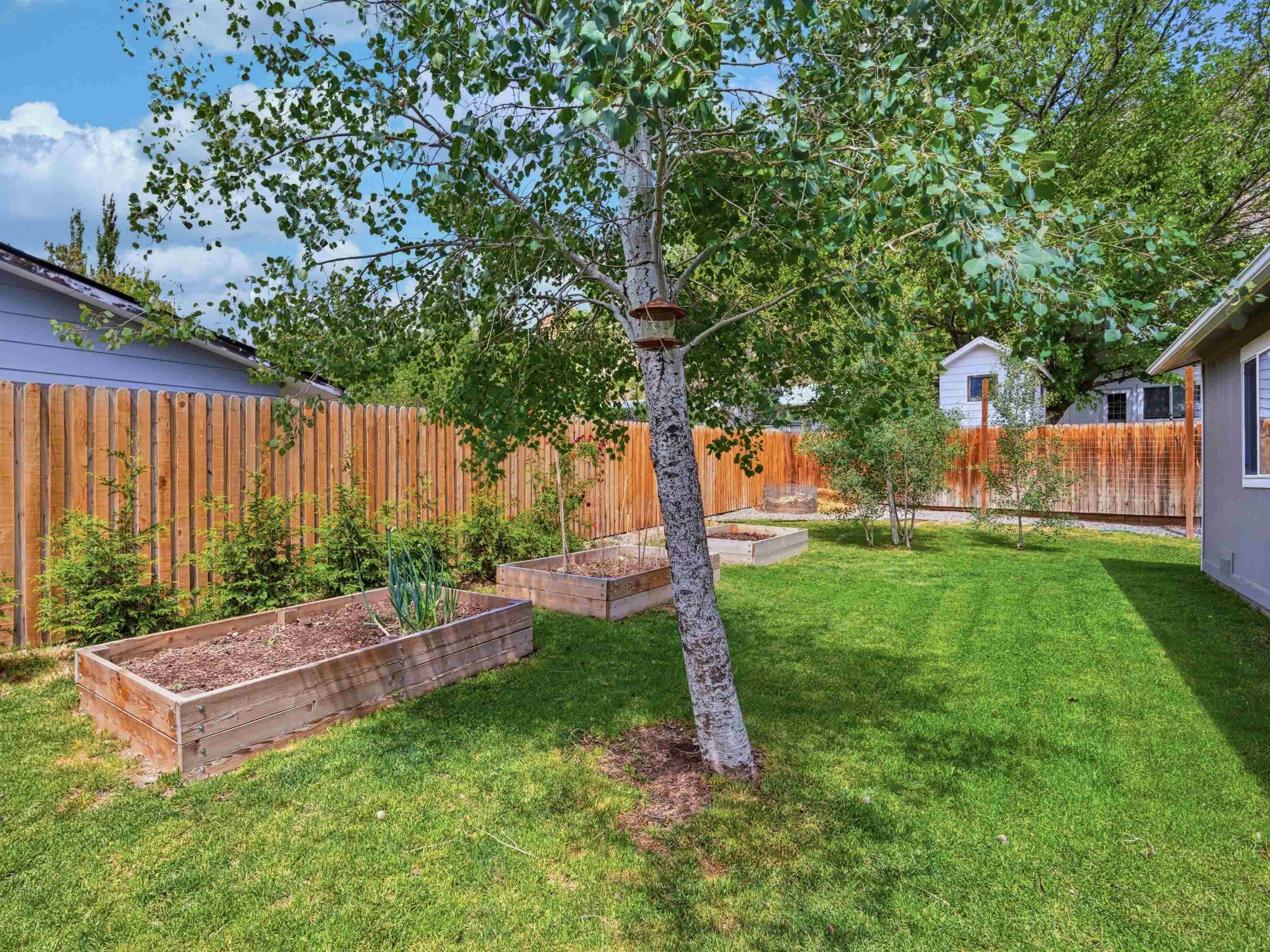 520 Rosa Street Palisade, CO 81526 - Photo 26 of 26 Gallery Image 26
