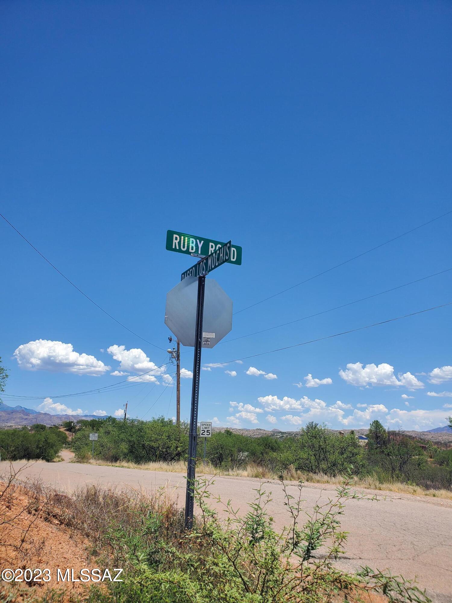 887 Paseo Los Mochis, Unit 9 Rio Rico, AZ 85648 - Photo 3 of 16