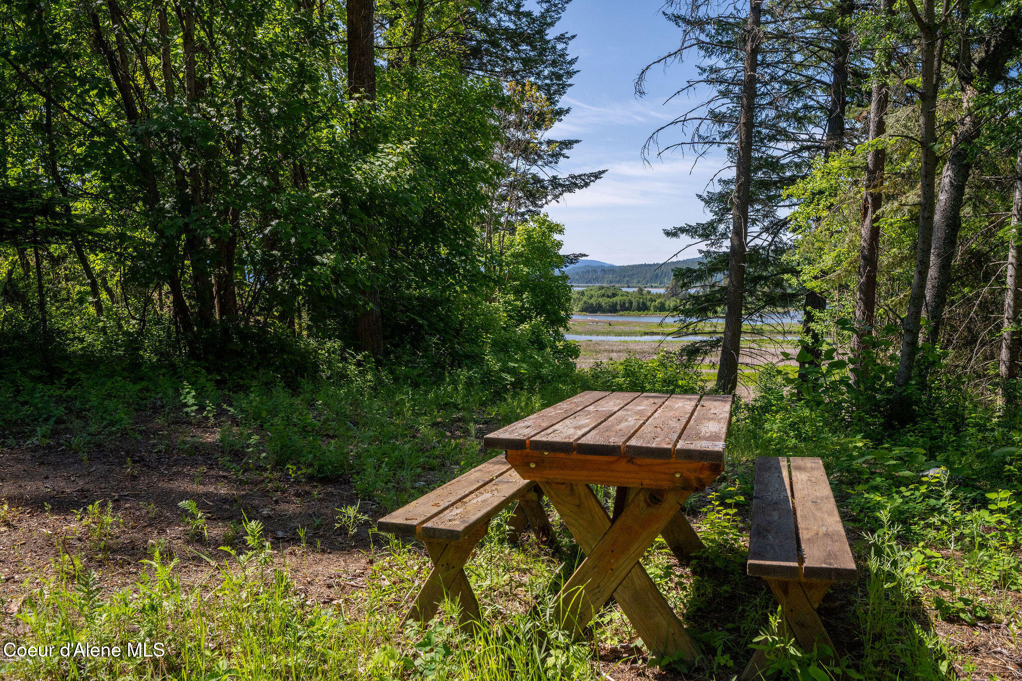 238 Black Sheep Road Hope, ID 83836 - Photo 29 of 46 DSC_9533