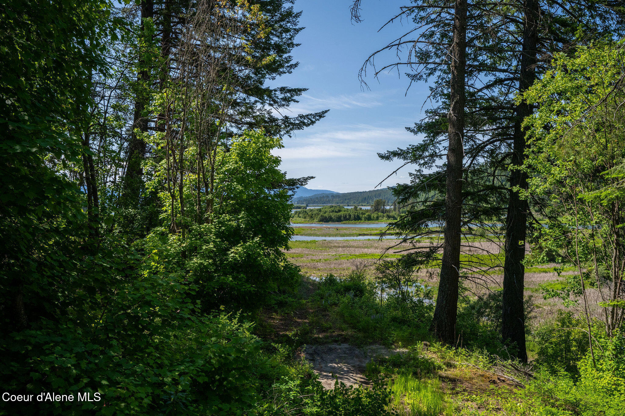 238 Black Sheep Road Hope, ID 83836 - Photo 30 of 46 DSC_9538