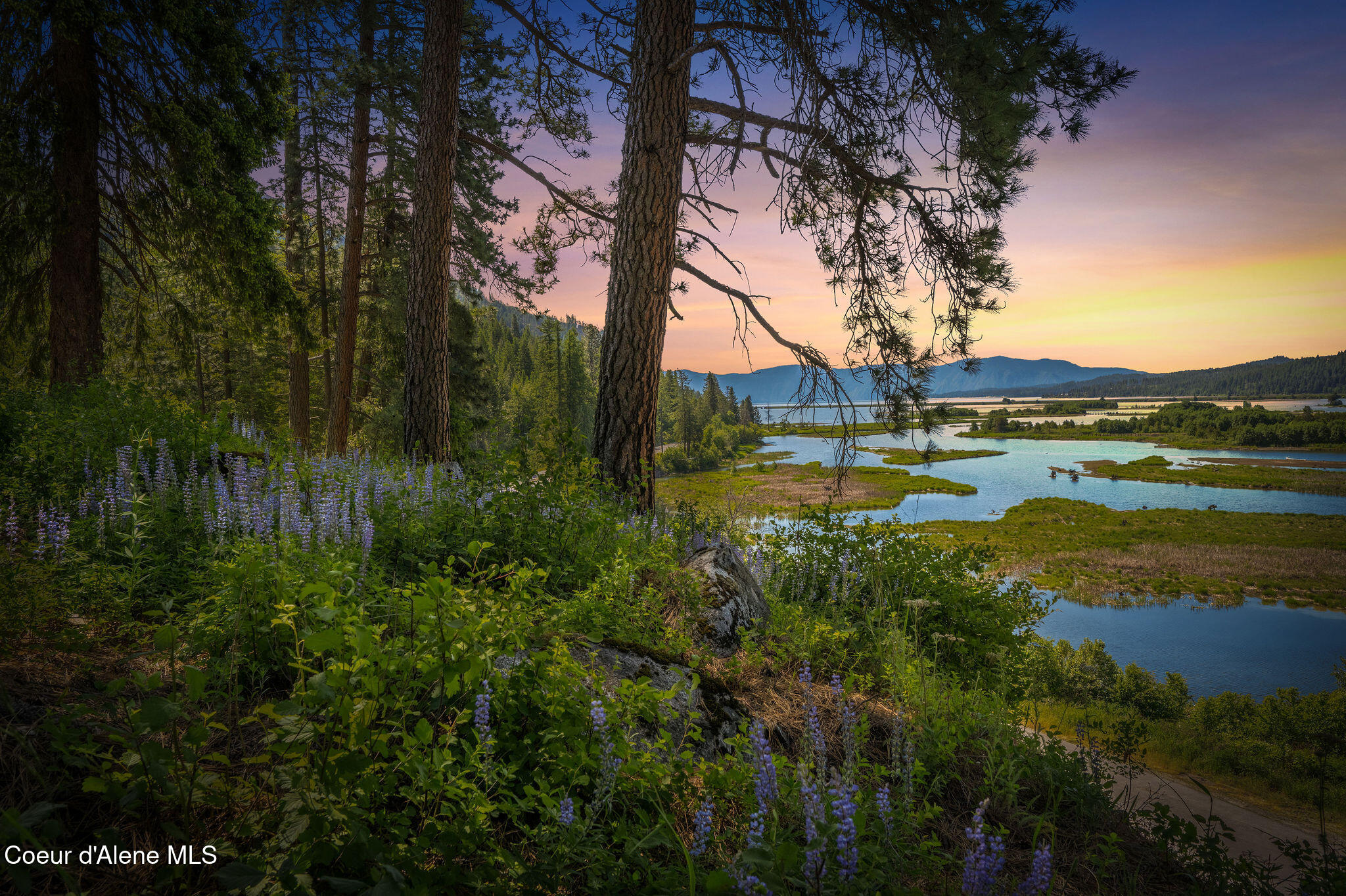 238 Black Sheep Road Hope, ID 83836 - Photo 3 of 46 DSC_9561-2