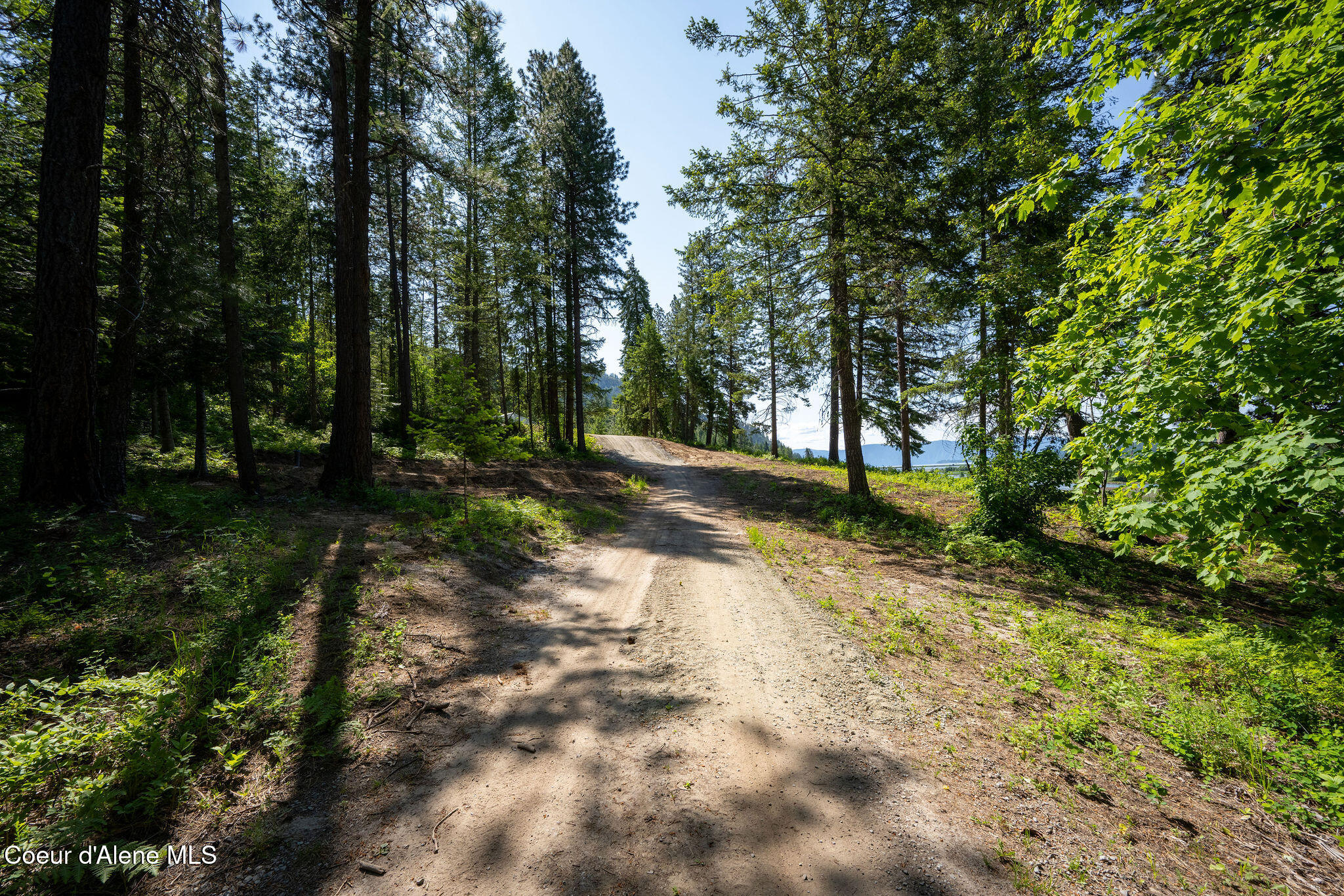 238 Black Sheep Road Hope, ID 83836 - Photo 32 of 46 DSC_9546