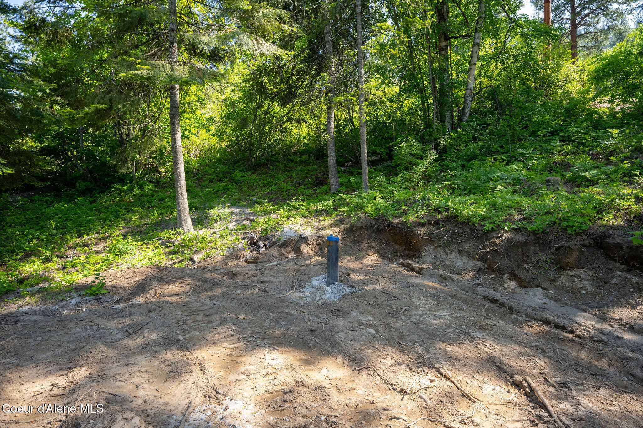 238 Black Sheep Road Hope, ID 83836 - Photo 33 of 46 DSC_9551