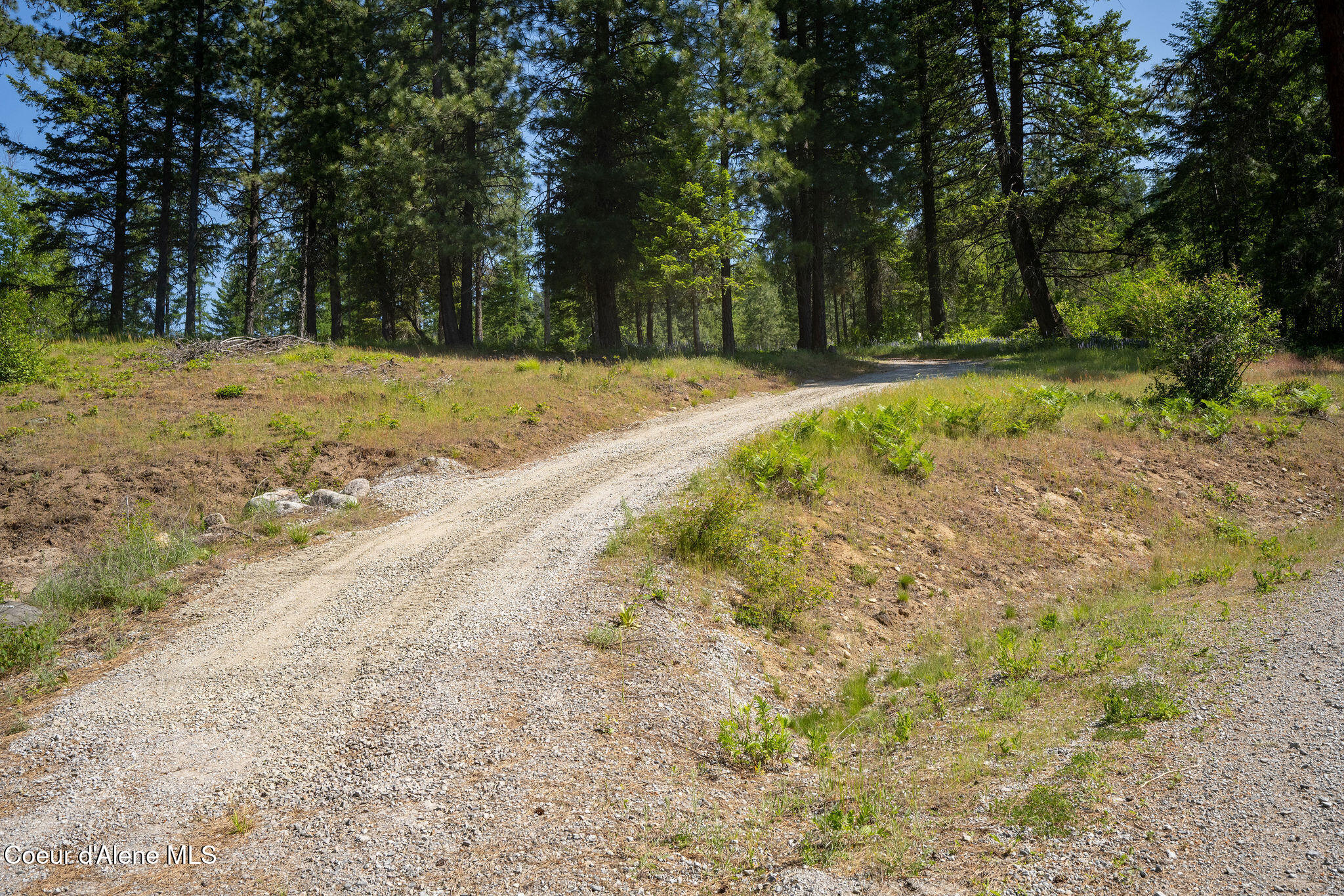 238 Black Sheep Road Hope, ID 83836 - Photo 37 of 46 DSC_9581