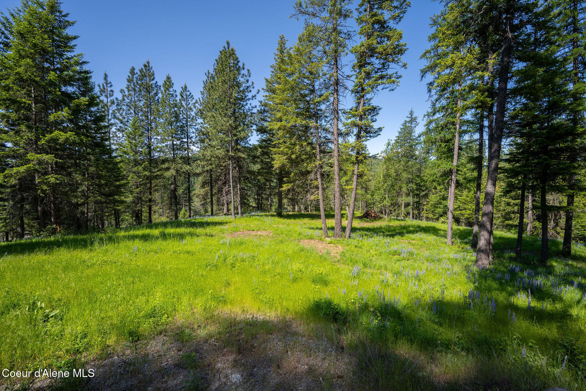238 Black Sheep Road Hope, ID 83836 - Photo 39 of 46 DSC_9591