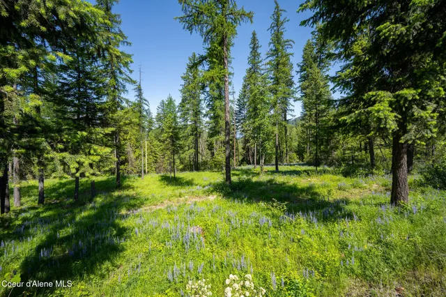 $287,900 | 238 Black Sheep Road, Hope, ID 83836