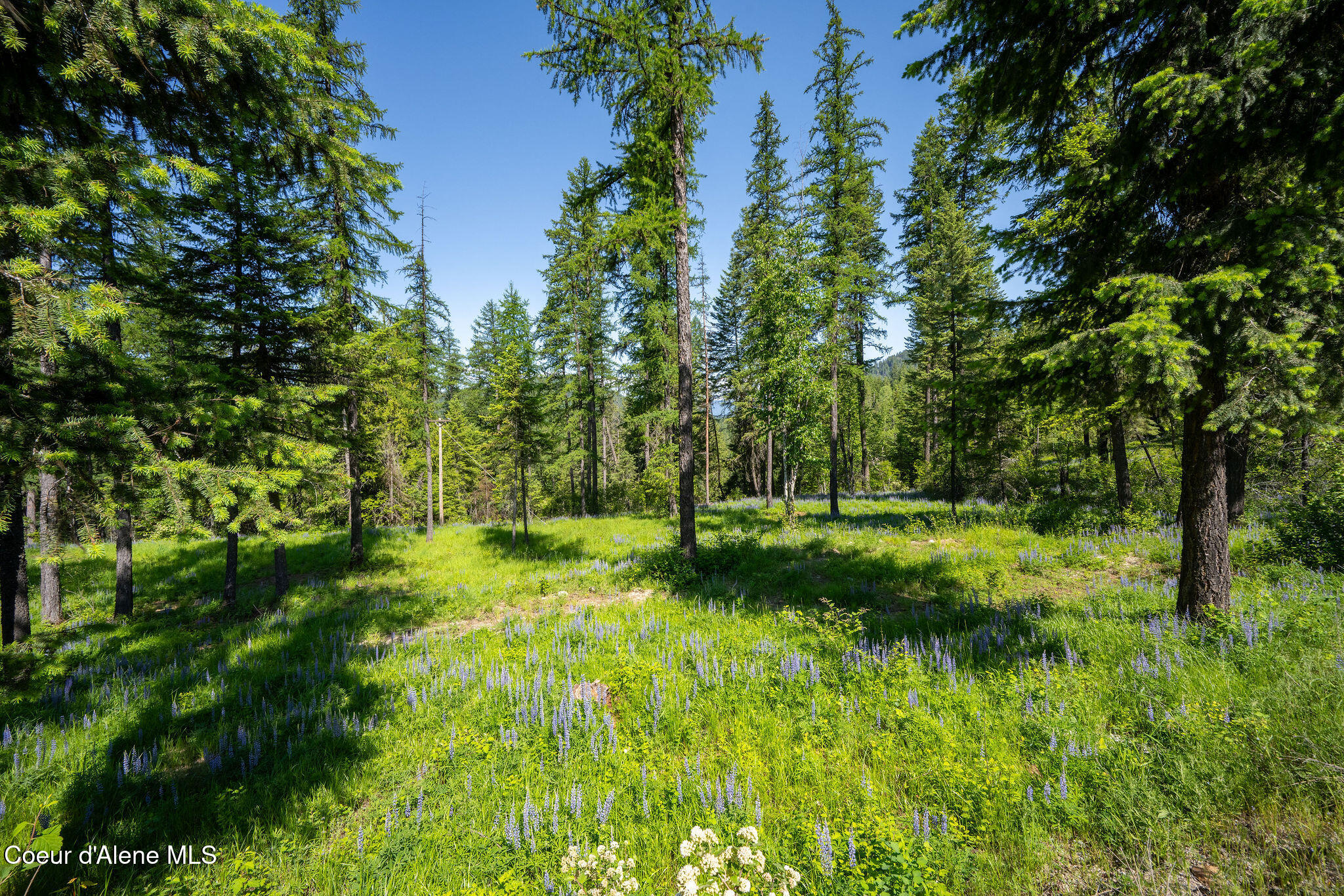 238 Black Sheep Road Hope, ID 83836 - Photo 40 of 46 DSC_9596