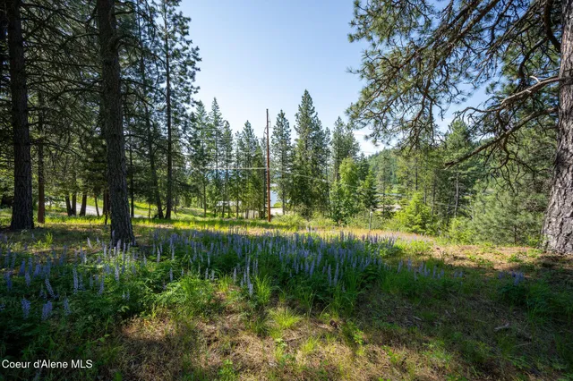 $287,900 | 238 Black Sheep Road, Hope, ID 83836