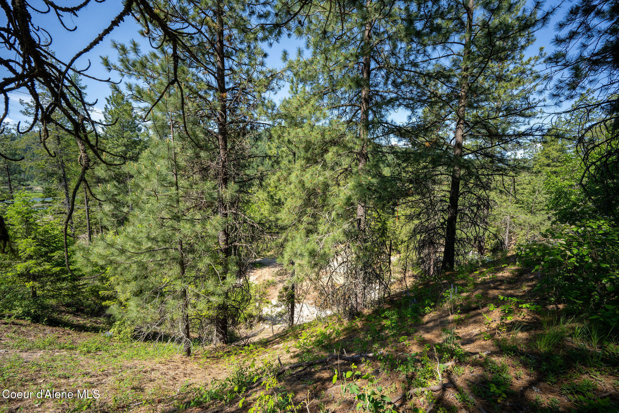 238 Black Sheep Road Hope, ID 83836 - Photo 42 of 46 DSC_9606